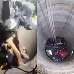Pies wpadł do 15-metrowej studni. Strażacy ruszyli na pomoc [FILM] 