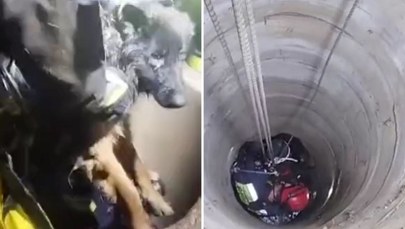 Pies wpadł do 15-metrowej studni. Strażacy ruszyli na pomoc [FILM] 