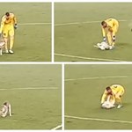 Pies wtargnął na boisko podczas meczu. Chciał się pobawić z piłkarzami