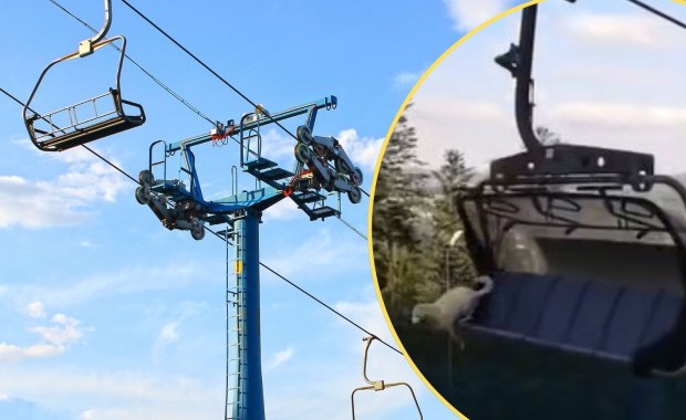 Pies wyskoczył z wyciągu. Śledczy: Nie doszło do znęcania się nad zwierzęciem