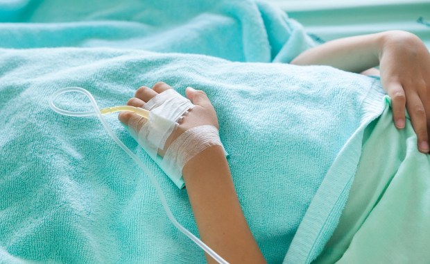 Pies zaatakował 11-latkę. Rany kąsane, szpital, śledztwo prokuratury