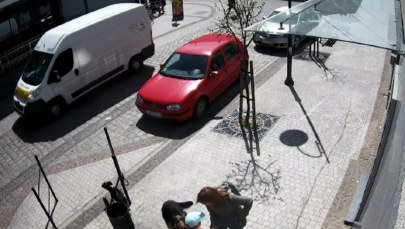 ​Pies zaatakował troje przechodniów, w tym 8-latkę. Jest nagranie