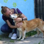 Pies został adoptowany po 10 latach w schronisku. "Cuda się zdarzają"