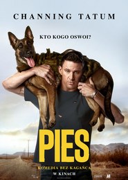 Pies