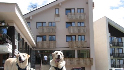 Pieskie życie po słowacku [ZDJĘCIA]