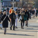 Pieszy na zebrze może nie mieć pierwszeństwa. Luka w przepisach
