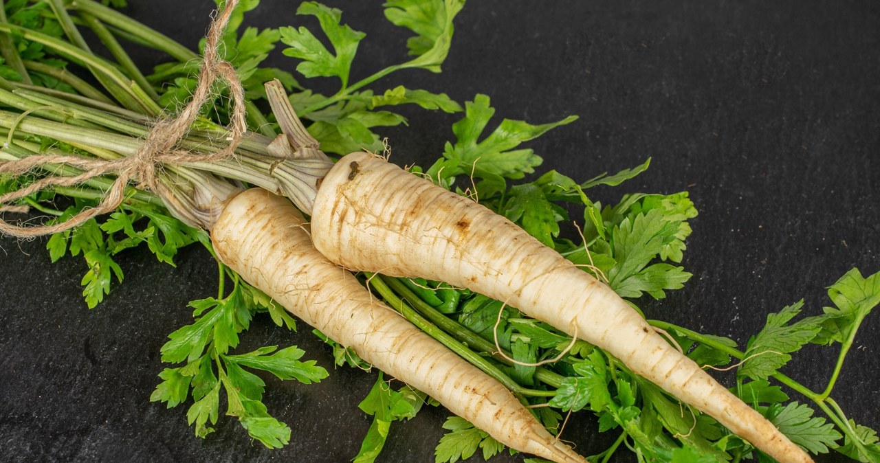 Pietruszka jest bardziej podatna na gnicie i wysychanie niż inne warzywa korzeniowe. Właśnie dlatego trzeba ją odpowiednio przechowywać. /123RF/Picsel, 123RF/Picsel /Pixel