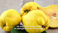 Pigwa bywa nazywana polską cytryną. Jakie ma właściwości?