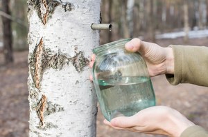 Pij codziennie. Pomoże zapobiec kamieniom nerkowym, pobudzi trawienie