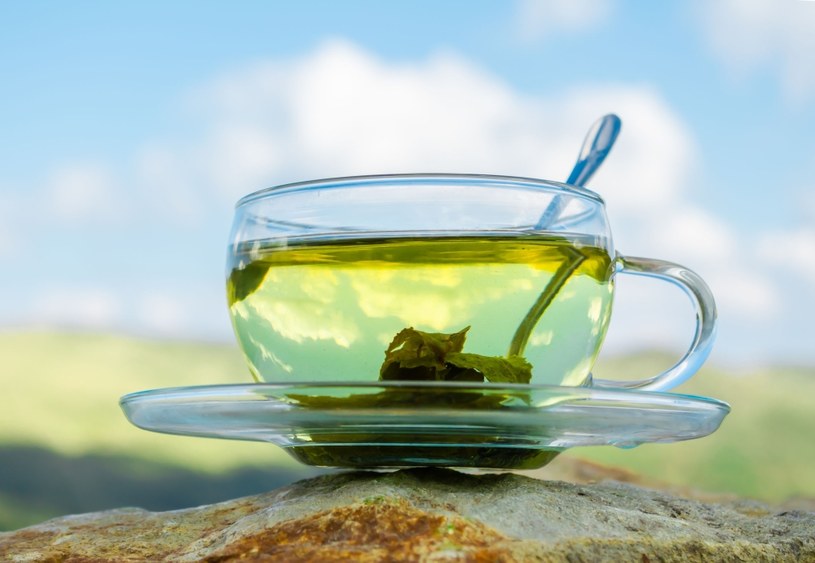 Pij codziennnie zieloną herbatę /123RF/PICSEL