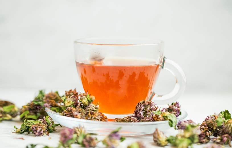 Pij herbatę z suszonej koniczyny. Pomaga utrzymać dobre samopoczucie w czasie menopauzy /123RF/PICSEL