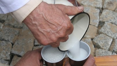 Pij mleko, dostaniesz Nobla!