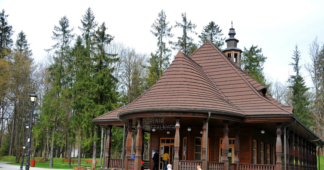 Pijalnia wód w Wysowej-Zdroju /Fot. Marek Dybas/REPORTER /East News