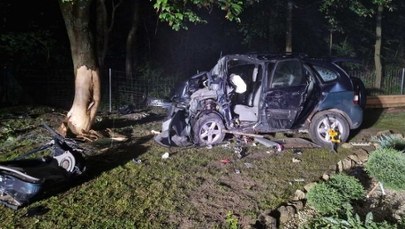 Pijana kierująca i poszukiwany pasażer. Nocna jazda zakończona na drzewie