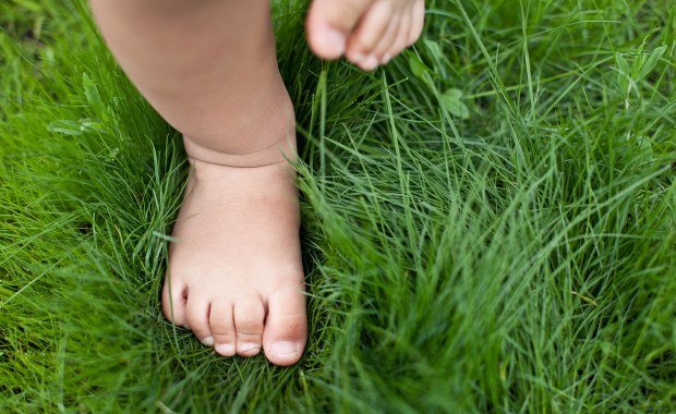 Pijana matka przed policją ukryła dziecko w krzakach 