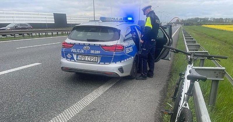 Pijany rowerzysta zatrzymany na autostradzie A4. 55-latek jechał na komunię wnuka /Policja Dolnośląska /Policja