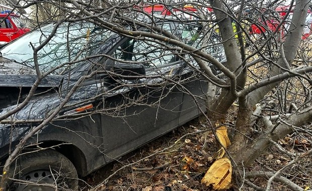 Pijany wiózł dwójkę dzieci. Uderzył w drzewo