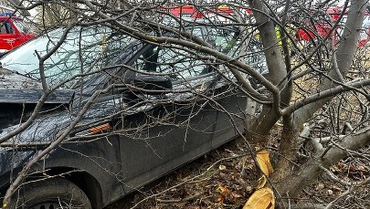 Pijany wiózł dwójkę dzieci. Uderzył w drzewo