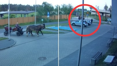 Pijany woźnica wjechał na teren komendy. Policjant nie mógł go dogonić. WIDEO