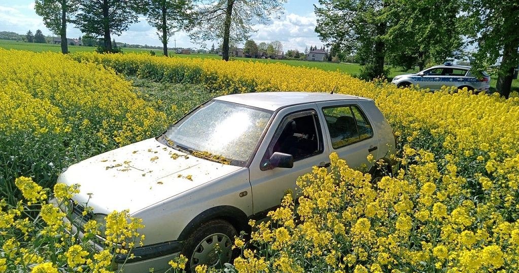 Pijany zakończył jazdę w polu rzepaku /Policja