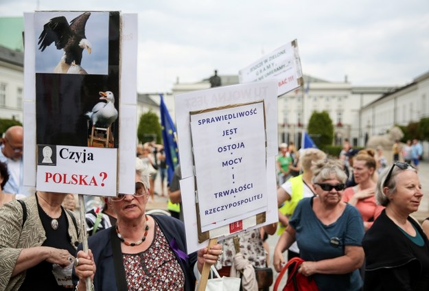 Pikieta poparcia dla delegalizacji ONR zorganizowana przez Stowarzyszenie Demokratyczna RP /PAP/Rafał Guz /PAP