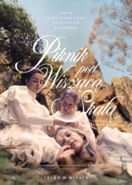 Piknik pod Wiszącą Skałą