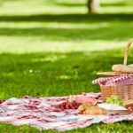 Piknikowa perełka w Pepco! Z tym kocem spędzisz wiele wspaniałych chwil! 