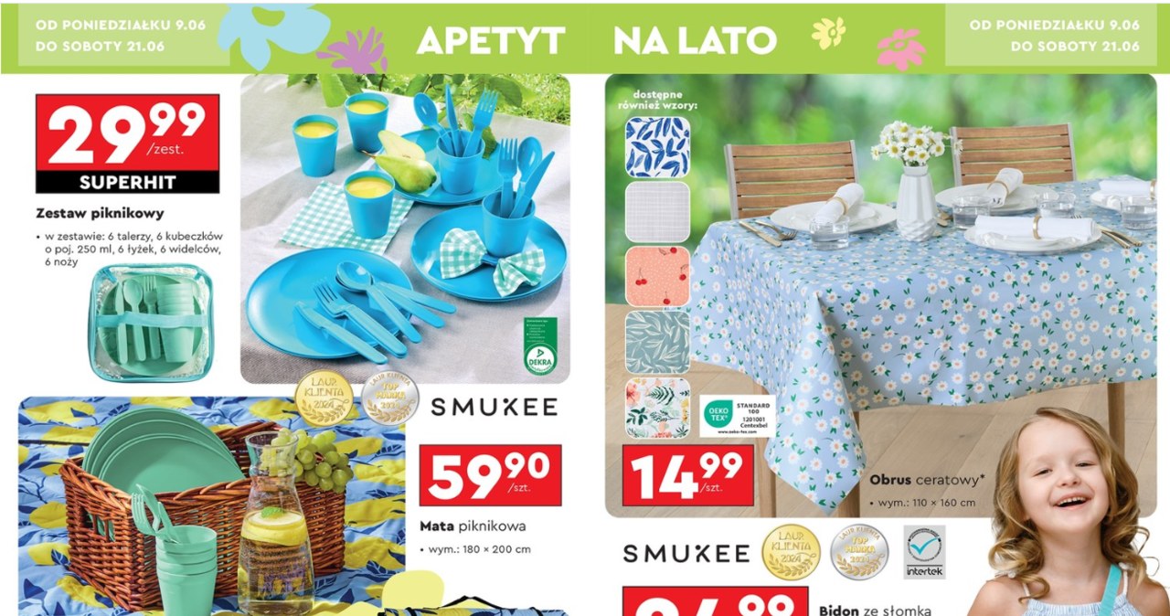 Piknikowe hity w Biedronce! Sprawdź, co kupisz w okazyjnej cenie /Biedronka /INTERIA.PL