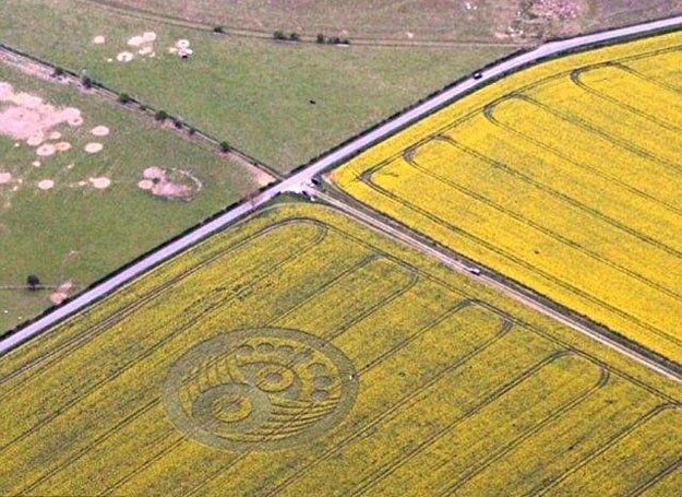 Piktogram odkryty 7 maja 2010 r. w okolicach fortu Old Sarum w brytyjskim hrabstwie Wiltshire /MWMedia