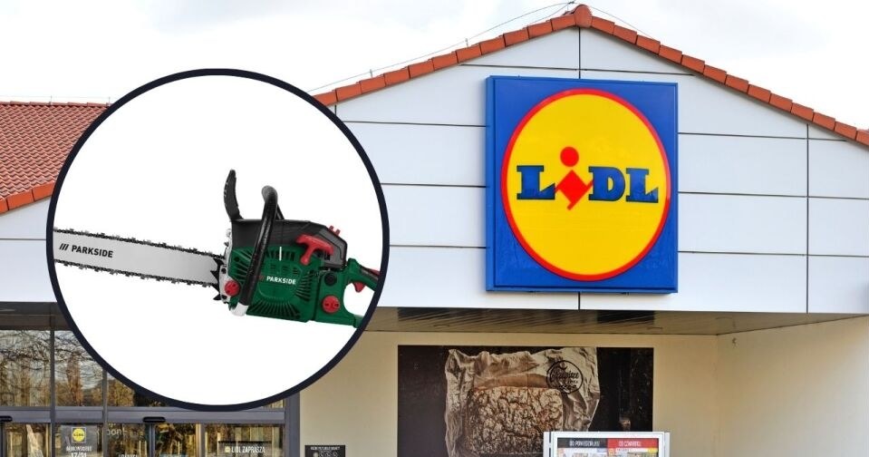 Pilarka łańcuchowa w niskiej cenie w Lidlu! /adobestock/Lidl /INTERIA.PL