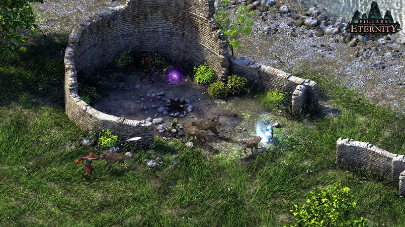 Pillars of Eternity /materiały prasowe