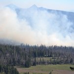 Pilot umiera podczas akcji gaszenia pożaru. 49℃ w Portugalii