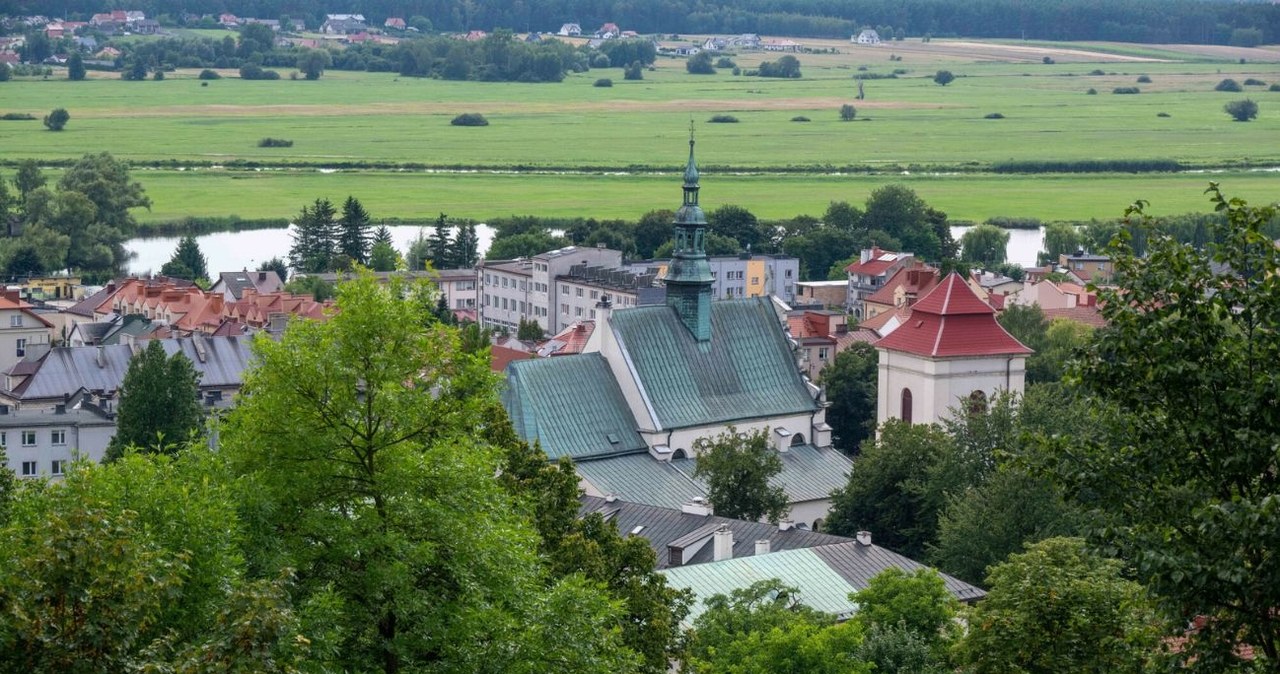 Pińczów - panorama miasta /Tadeusz Koniarz /Reporter
