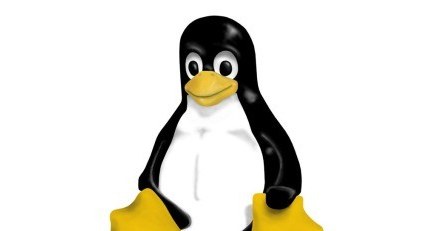Pingwin i Open Source walczą z kryzysem /materiały prasowe