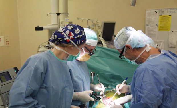 Pionierski zabieg w Warszawie. Lekarze jednocześnie przeszczepili wątrobę i trzustkę