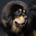 Prawo i Sprawiedliwość Partie polityczne