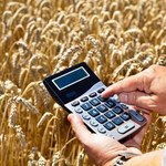 PiS: Premier powinien zabrać głos na temat niskich cen skupu zbóż