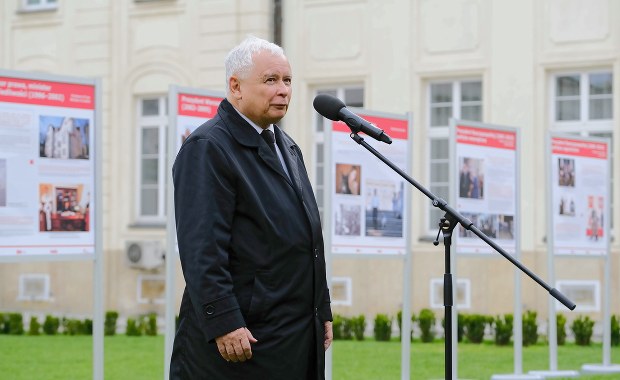 PiS zapowiada rewolucję w kwestii ochrony zwierząt. Jest projekt ustawy