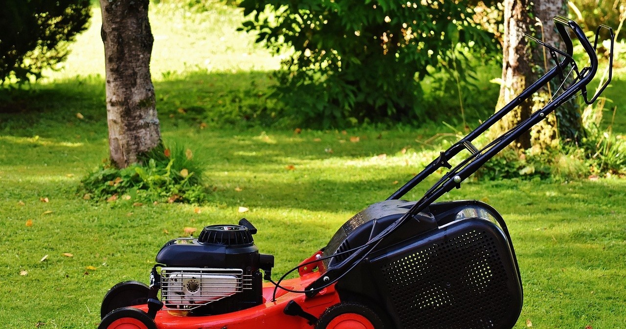 Піскуання газону найкраще проводити раз на рік - влітку чи на початку осені /pixabay.com