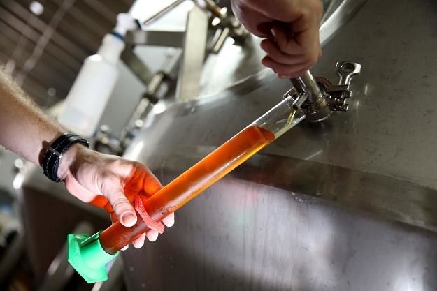 Piwa regionelne mocno rosną /AFP
