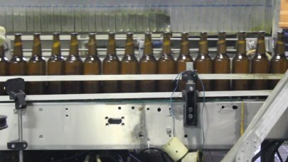 Piwo lawendowe warzą w Olsztynie 