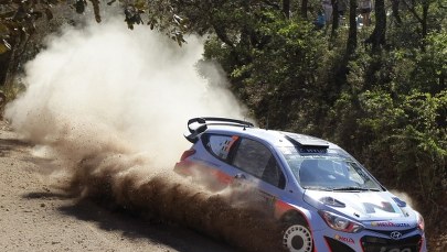 Piwo uratowało rywala Kubicy!