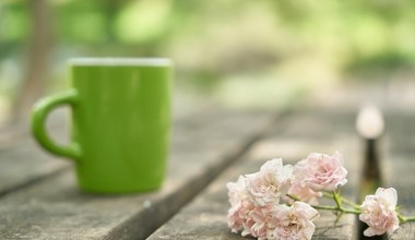 Пийте вранці замість міцної кави. Матимете більше енергії і легше концентруватиметеся