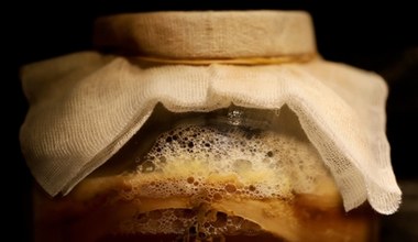 Пийте замість кави та чаю. "Рідке золото" відновить ваш кишківник та зміцнить імунітет