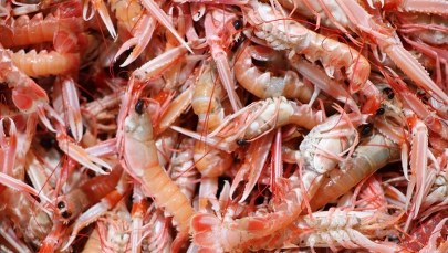 Pjongczang: Koreańskie śniadanie? Smażone krewetki, szponder wołowy 