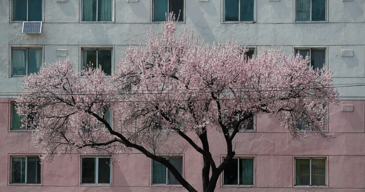 Pjongjang ma nową "futurystyczną" dzielnicę. Kosztować mogła nawet 200 mln dolarów