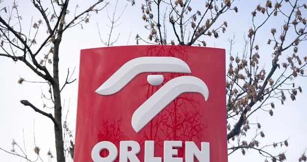 PKN Orlen planuje inwestycje na Litwie /&copy;123RF/PICSEL