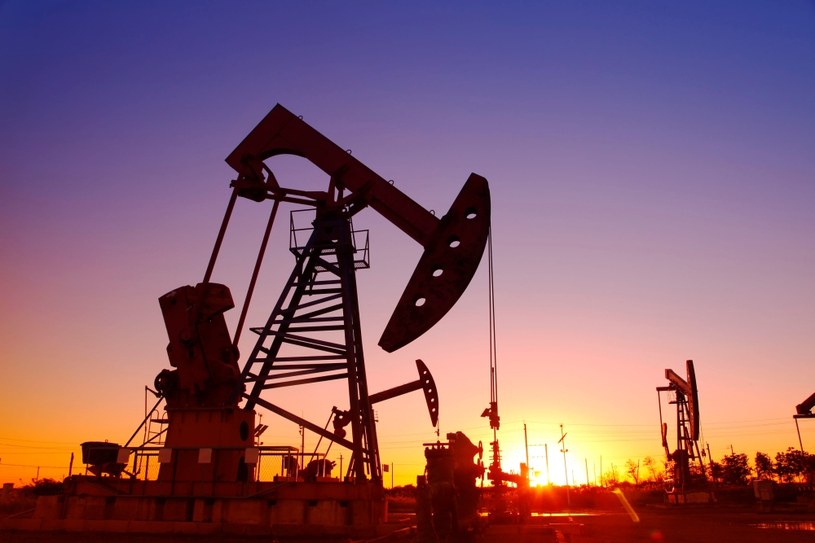 PKN Orlen szuka nowych źródeł dostaw ropy naftowej /123RF/PICSEL