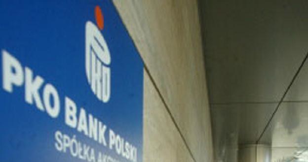 PKO Bank Polski zmienia politykę dywidendową /AFP