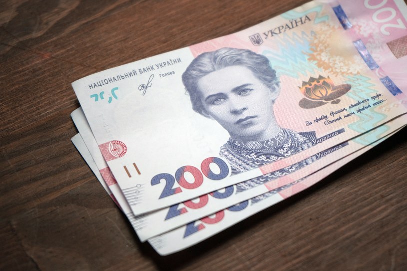 PKO BP wymieni ukraińskie hrywny? To możliwe. Zdj. ilustracyjne /123RF/PICSEL